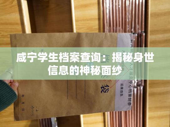 咸宁学生档案查询：揭秘身世信息的神秘面纱