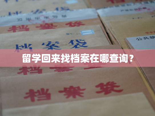 留学回来找档案在哪查询？