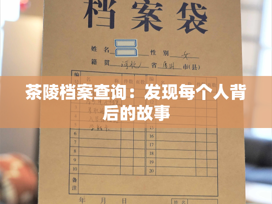 茶陵档案查询：发现每个人背后的故事