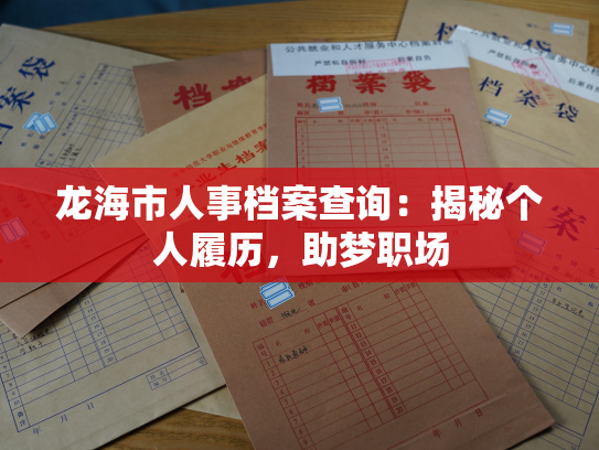 龙海市人事档案查询：揭秘个人履历，助梦职场