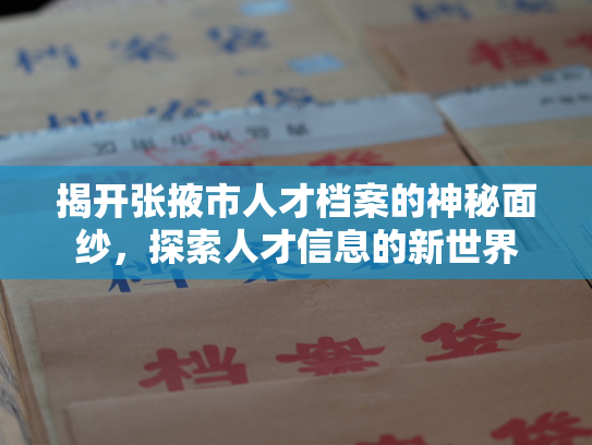 揭开张掖市人才档案的神秘面纱，探索人才信息的新世界