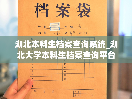 湖北本科生档案查询系统_湖北大学本科生档案查询平台