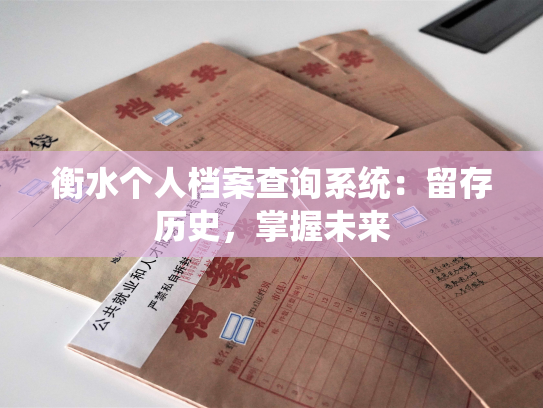 衡水个人档案查询系统：留存历史，掌握未来
