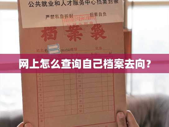 网上怎么查询自己档案去向？