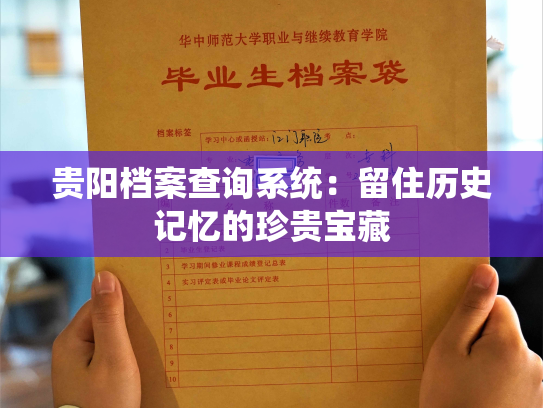 贵阳档案查询系统：留住历史记忆的珍贵宝藏
