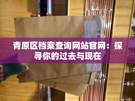 青原区档案查询网站官网：探寻你的过去与现在