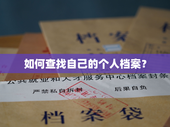 如何查找自己的个人档案？