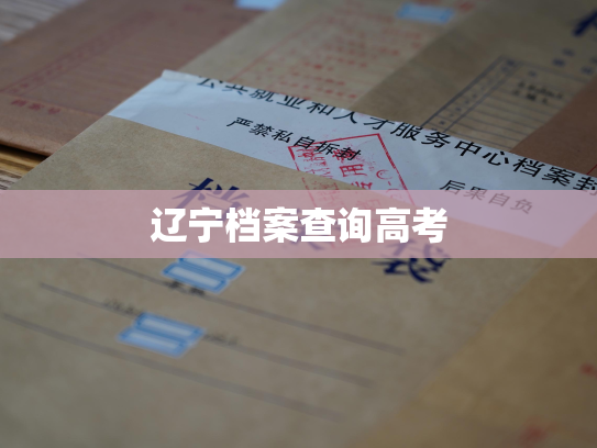 辽宁档案查询高考