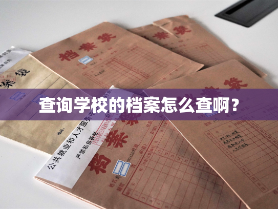 查询学校的档案怎么查啊？