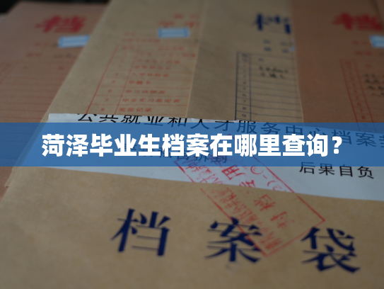 菏泽毕业生档案在哪里查询？