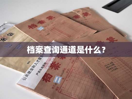 档案查询通道是什么？