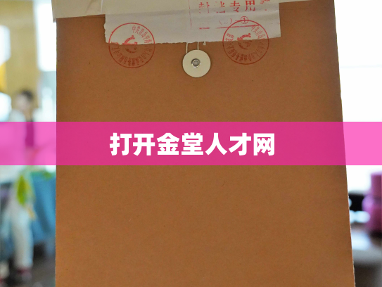 打开金堂人才网