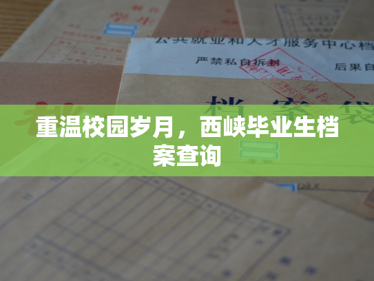 重温校园岁月，西峡毕业生档案查询