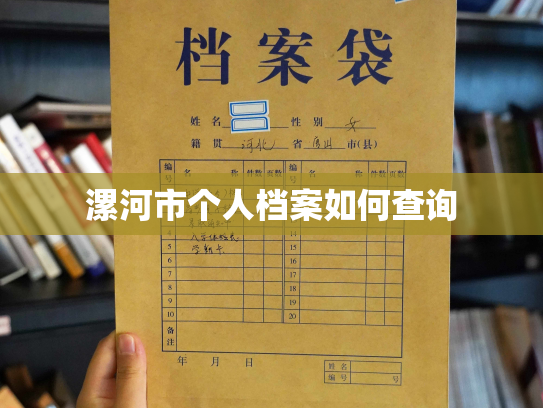 漯河市个人档案如何查询