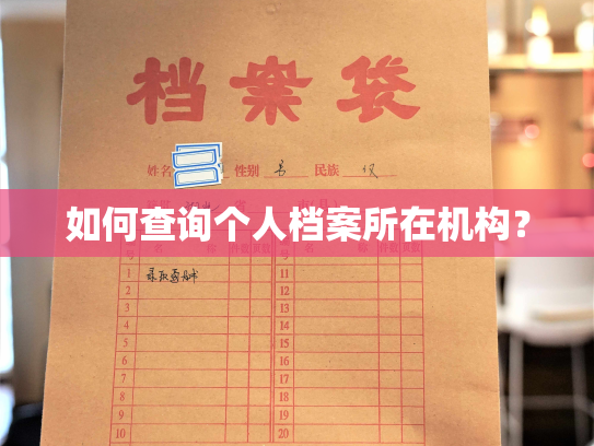 如何查询个人档案所在机构？