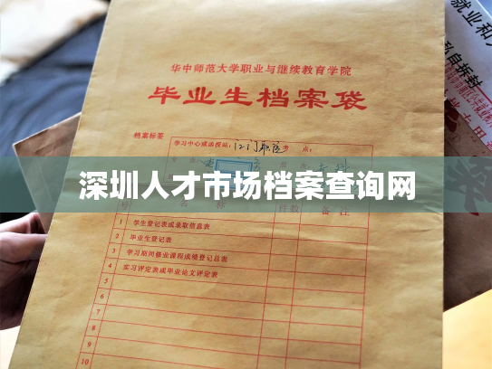 深圳人才市场档案查询网