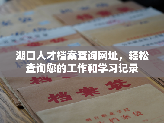 湖口人才档案查询网址，轻松查询您的工作和学习记录