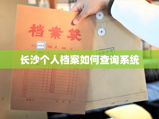 长沙个人档案如何查询系统