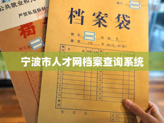 宁波市人才网档案查询系统