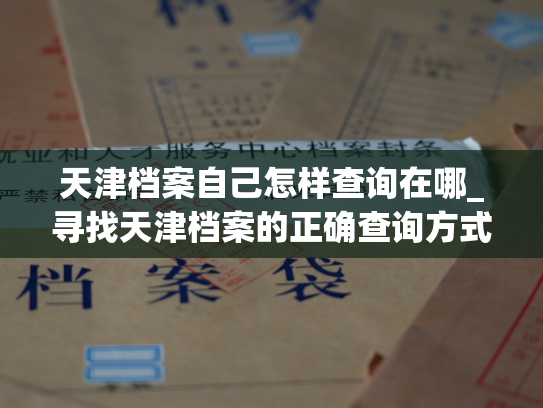 天津档案自己怎样查询在哪_寻找天津档案的正确查询方式
