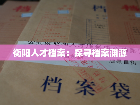 衡阳人才档案：探寻档案渊源