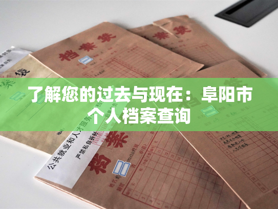 了解您的过去与现在：阜阳市个人档案查询