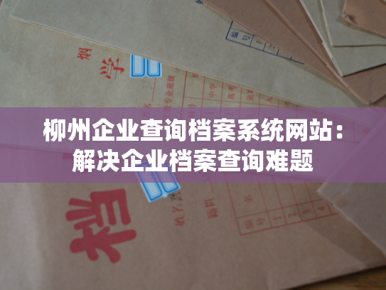 柳州企业查询档案系统网站：解决企业档案查询难题