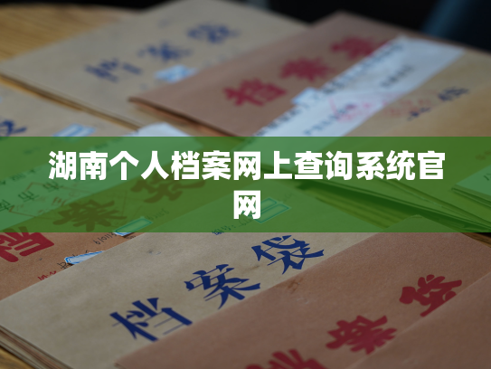 湖南个人档案网上查询系统官网
