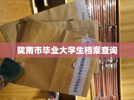 陇南市毕业大学生档案查询