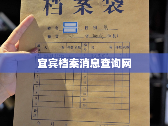 宜宾档案消息查询网