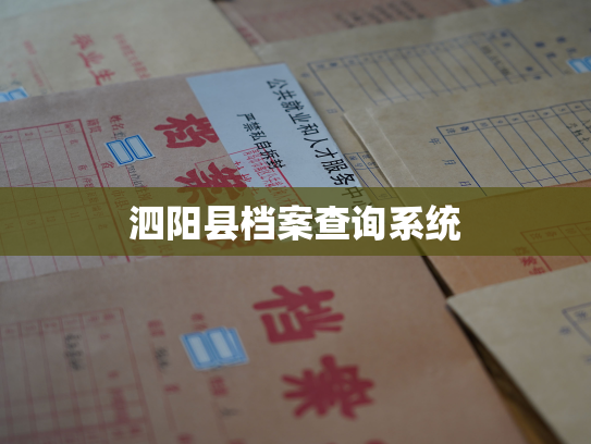 泗阳县档案查询系统