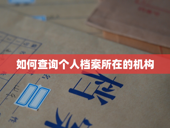 如何查询个人档案所在的机构