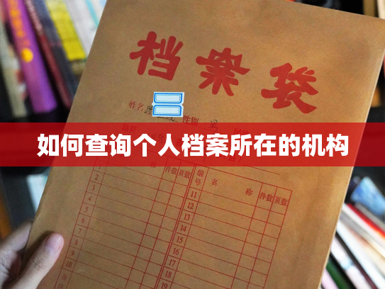 如何查询个人档案所在的机构