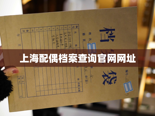 上海配偶档案查询官网网址