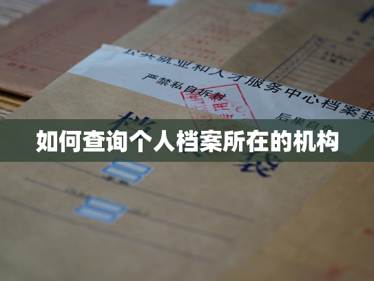 如何查询个人档案所在的机构