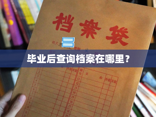 毕业后查询档案在哪里？
