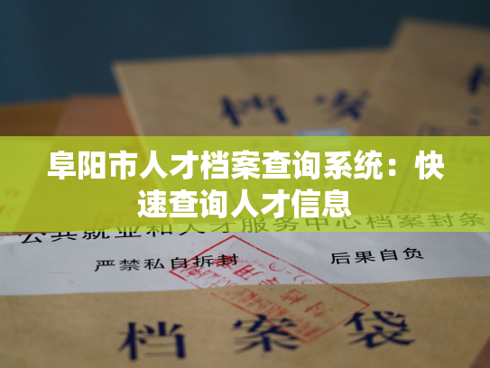 阜阳市人才档案查询系统：快速查询人才信息