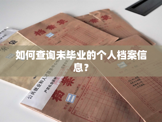 如何查询未毕业的个人档案信息？