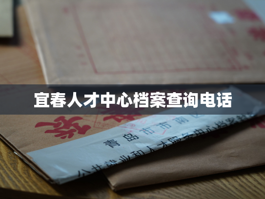 宜春人才中心档案查询电话