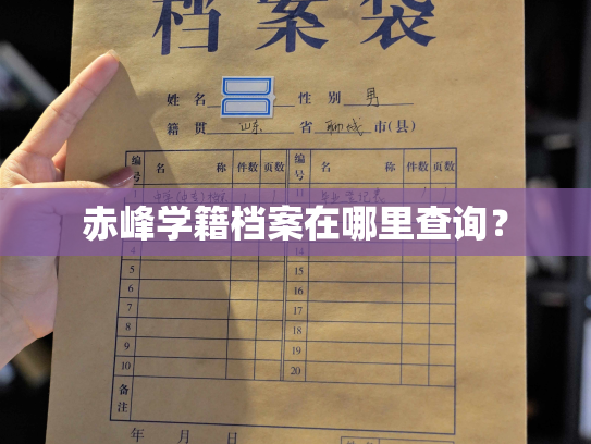 赤峰学籍档案在哪里查询？