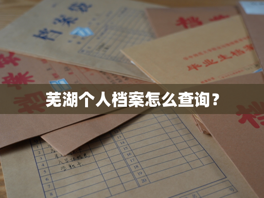 芜湖个人档案怎么查询？