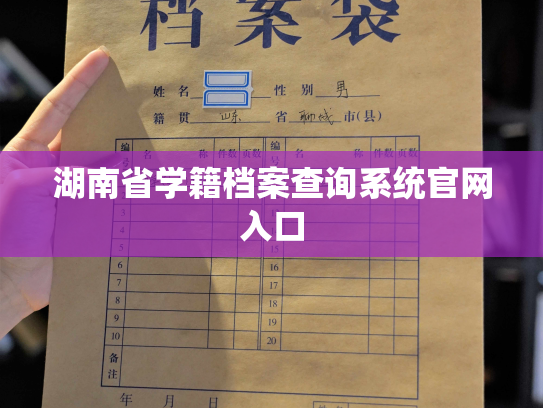 湖南省学籍档案查询系统官网入口