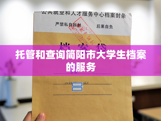 托管和查询简阳市大学生档案的服务