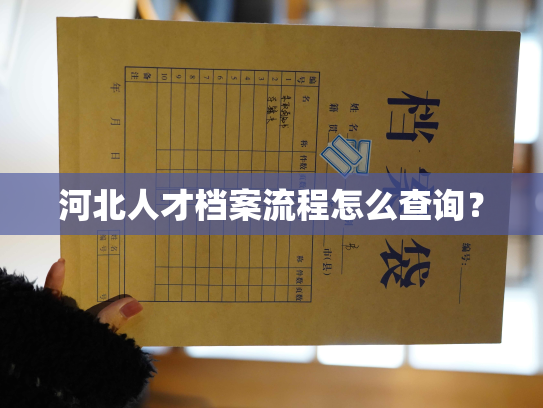 河北人才档案流程怎么查询？
