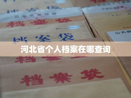 河北省个人档案在哪查询