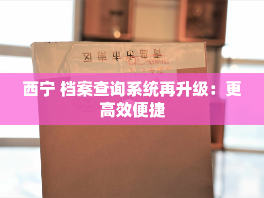 西宁 档案查询系统再升级：更高效便捷