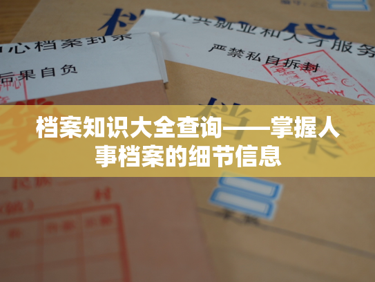 档案知识大全查询——掌握人事档案的细节信息