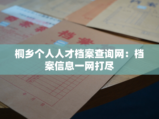 桐乡个人人才档案查询网：档案信息一网打尽