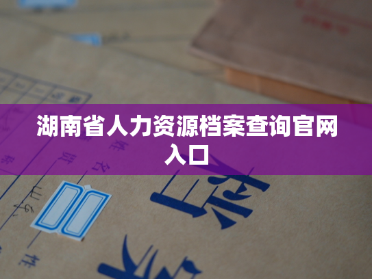 湖南省人力资源档案查询官网入口