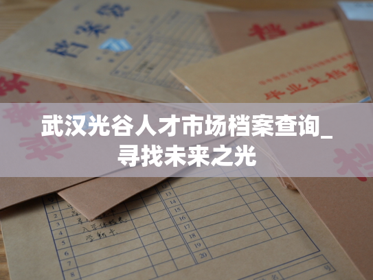 武汉光谷人才市场档案查询_寻找未来之光